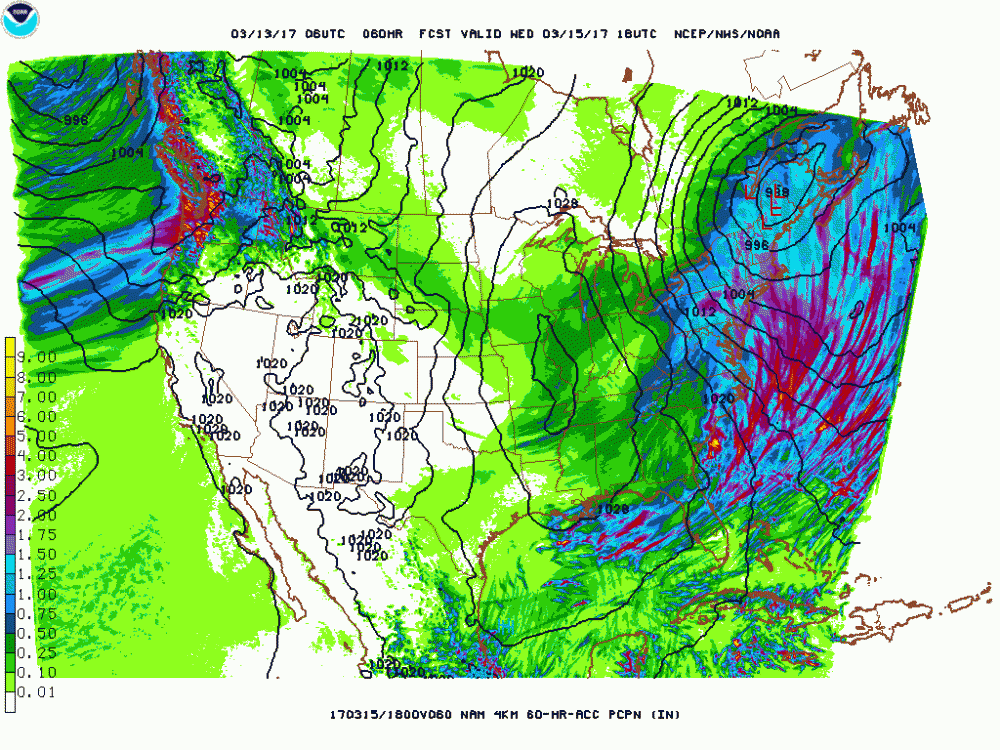 nam-hires_conus_060_precip_p60.gif