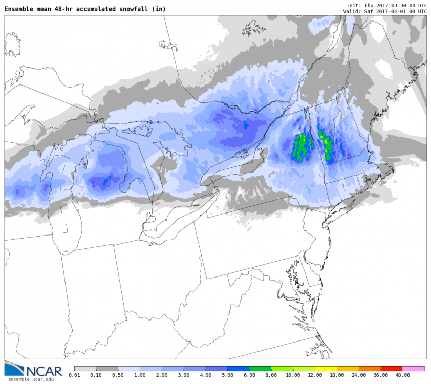 snowacc_mean_f048_NE.png