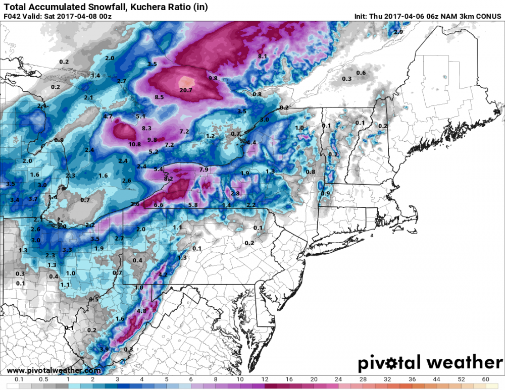 3k NAM.png