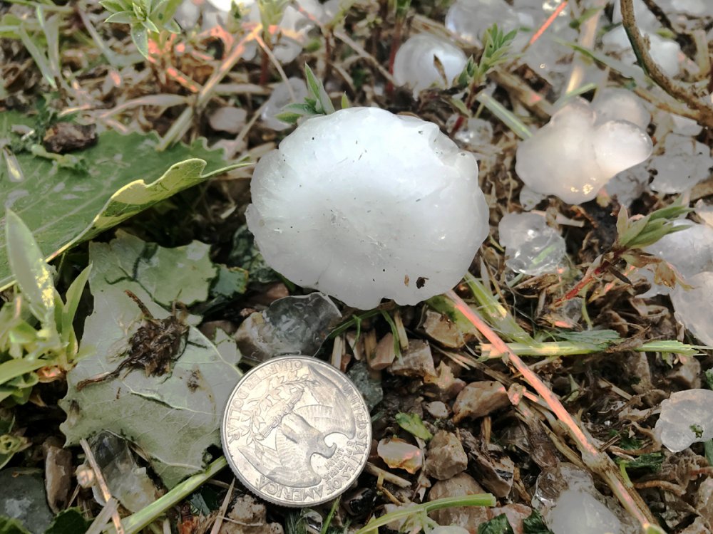 hail170718a.thumb.jpg.2572fd4d322bcb3754b3d0abf50b862d.jpg