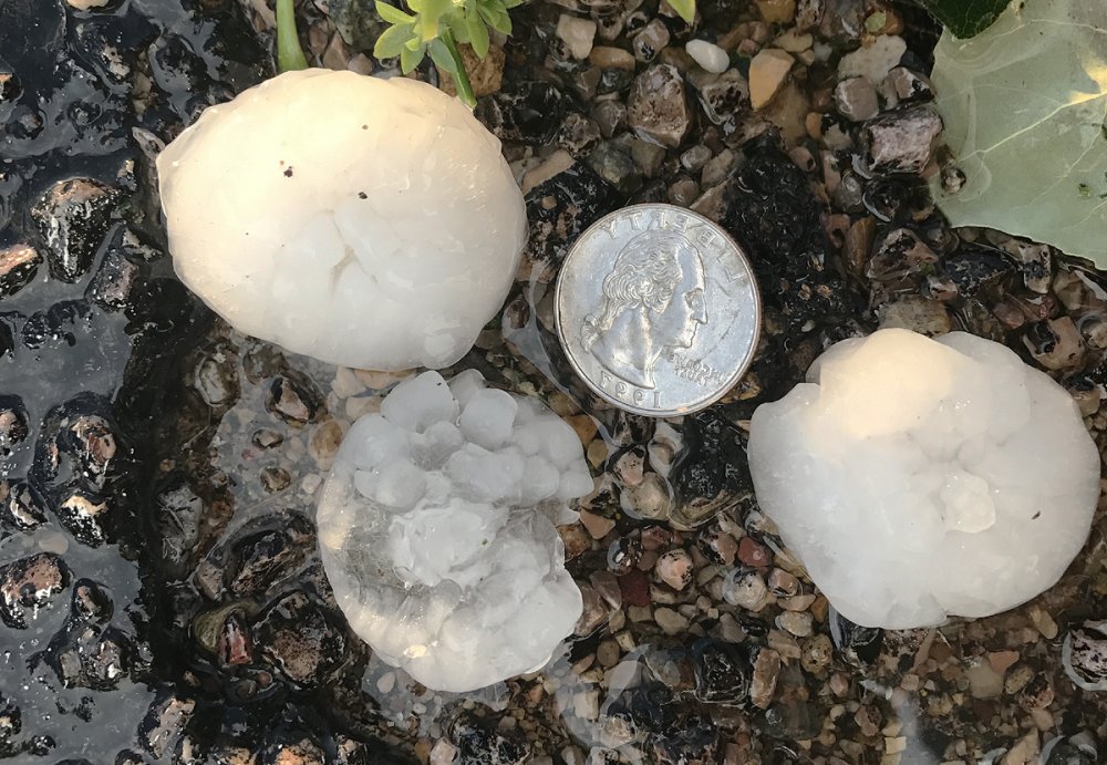 hail170718b.thumb.jpg.6ac995e983da77e622cd2b8f236098cd.jpg