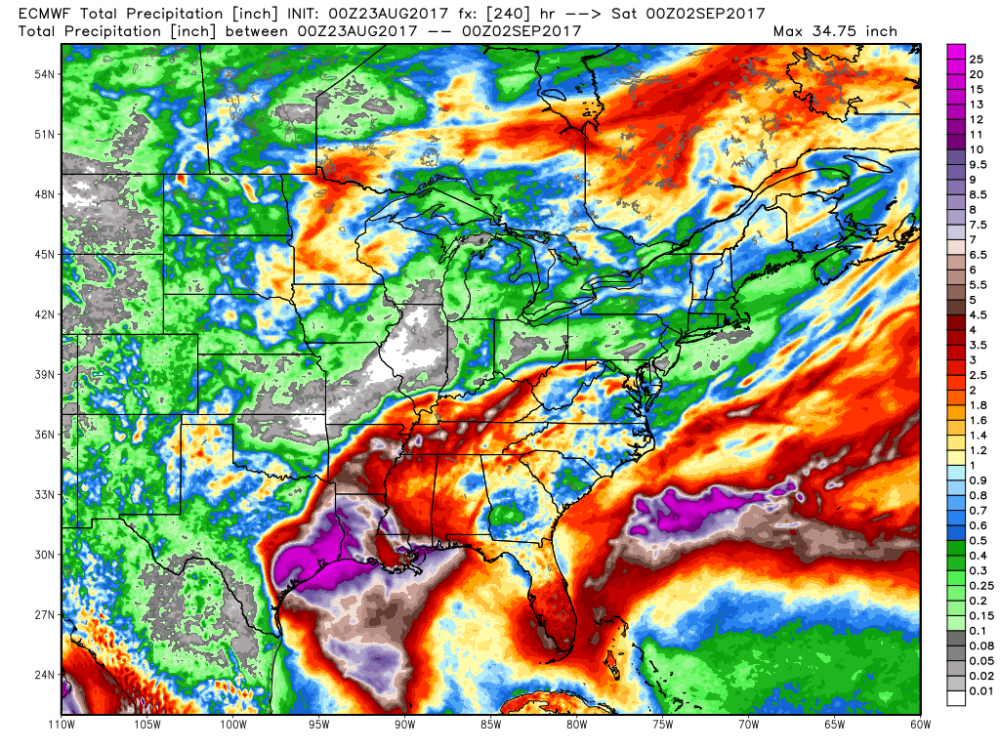 ecmwf_tprecip_east_41.png