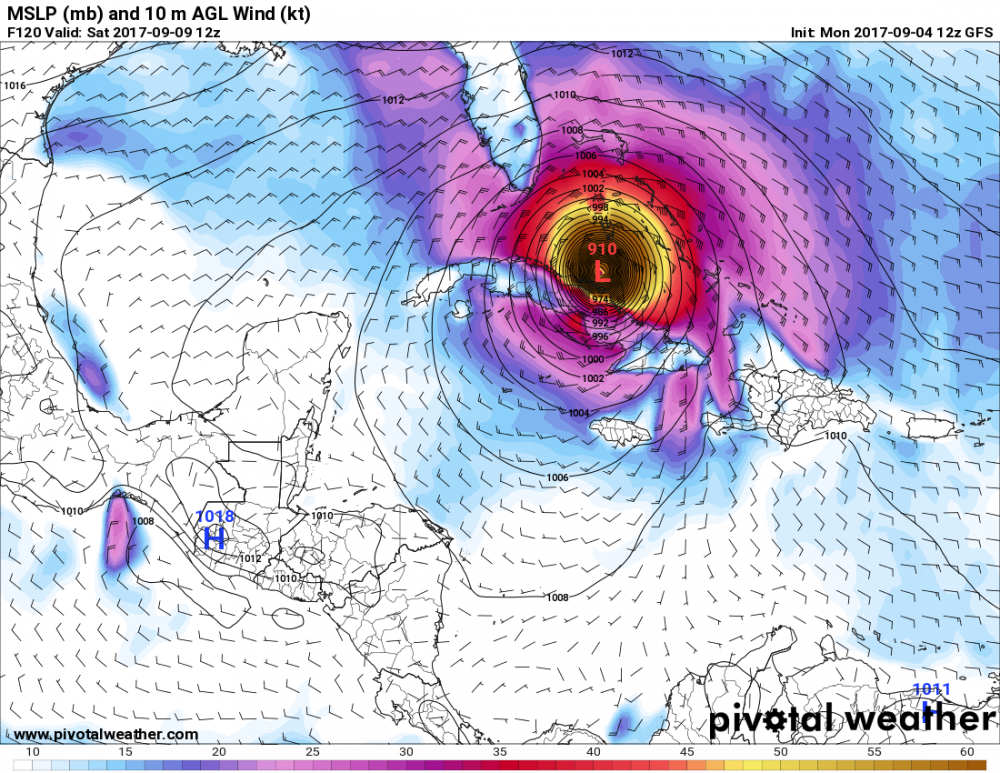 IRMA.png