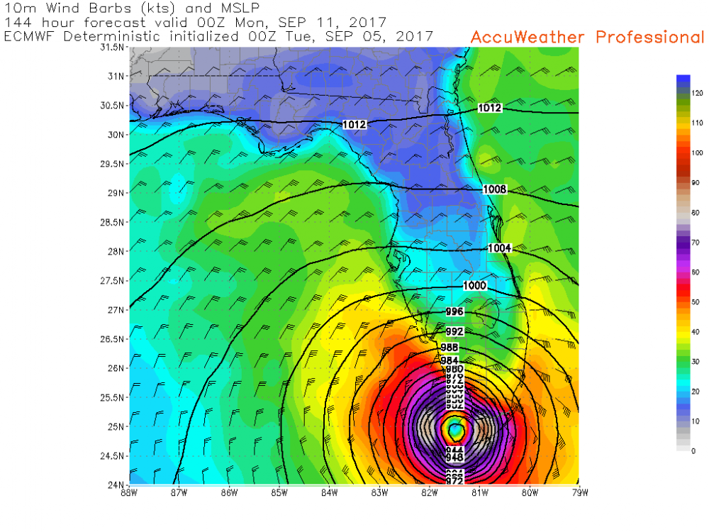 ecmwfued_rapid---fl-144-C-10mwindbarbs_mslp_whitecounty.png