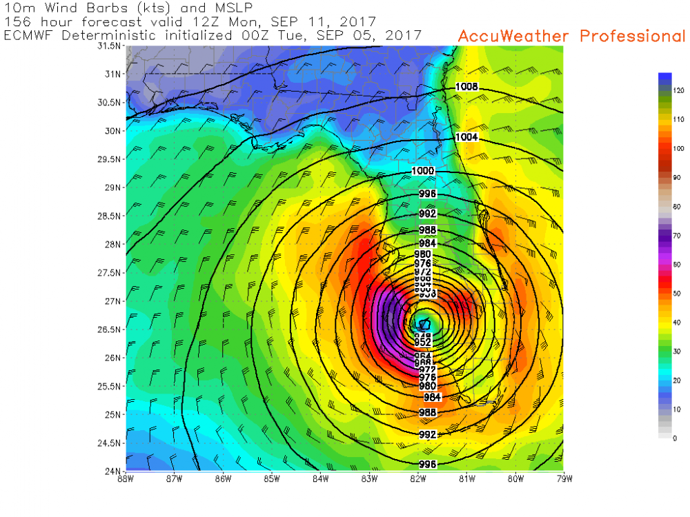 ecmwfued_rapid---fl-156-C-10mwindbarbs_mslp_whitecounty.png