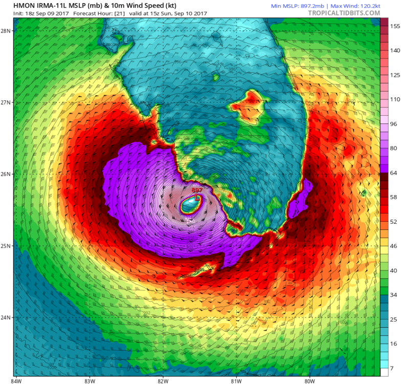 hmon_mslp_wind_11L_8.png