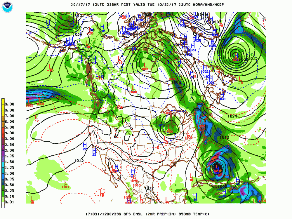 gfs_namer_336_850_temp_mslp_precip.gif