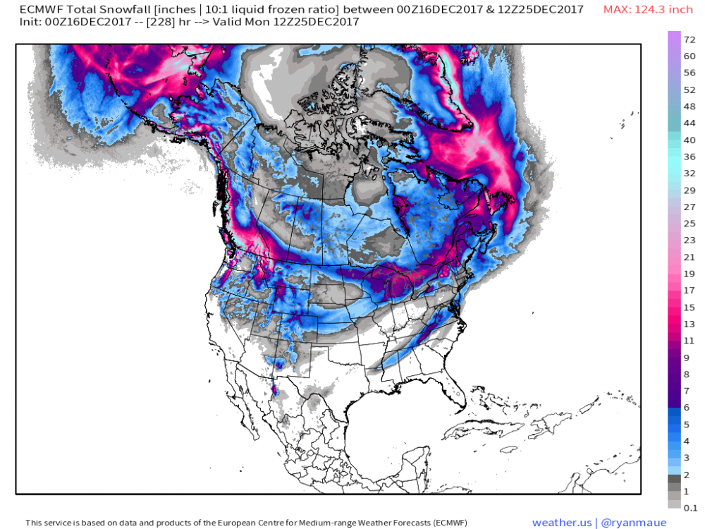 ecmwf_acc_snow_noram_228.png