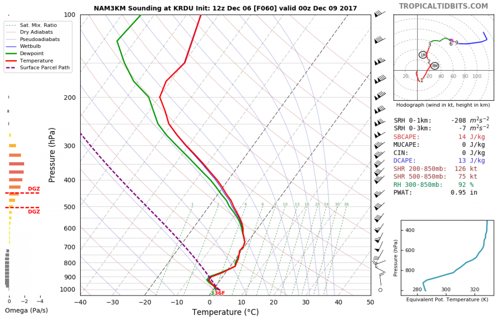 nam3km_2017120612_fh60_sounding_KRDU.png