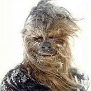 Weather Wookiee