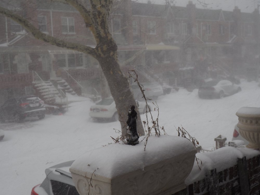 Blizzard Jan 4 2017 Bensonhurst Bklyn.JPG