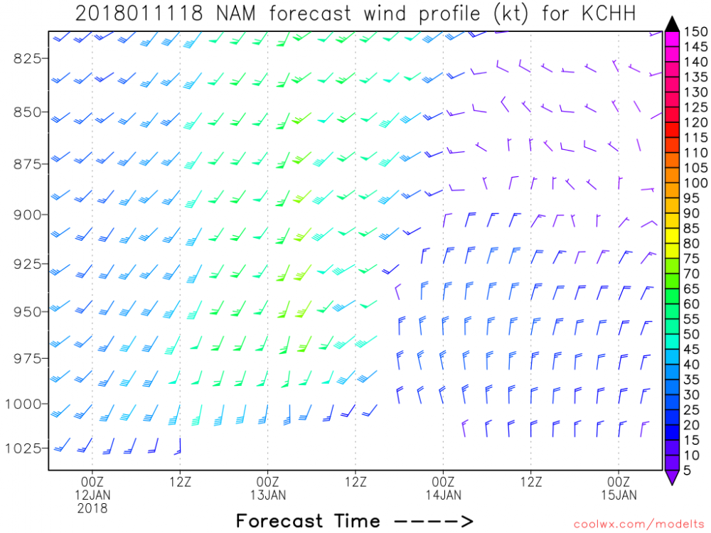 00z NAM wind profile chatham.png
