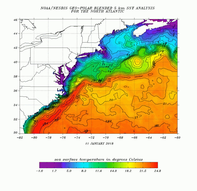 00z Jan 13th Ocean Surface temps.gif