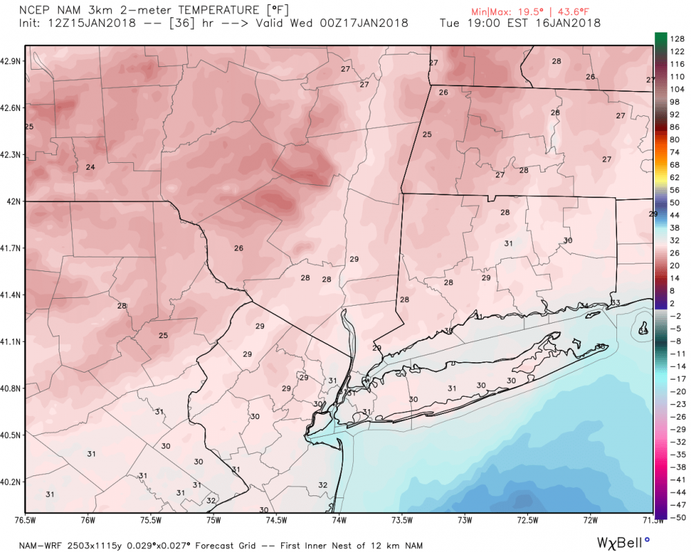 hires_t2m_nyc_37  JAN 15 NAM 3K.png