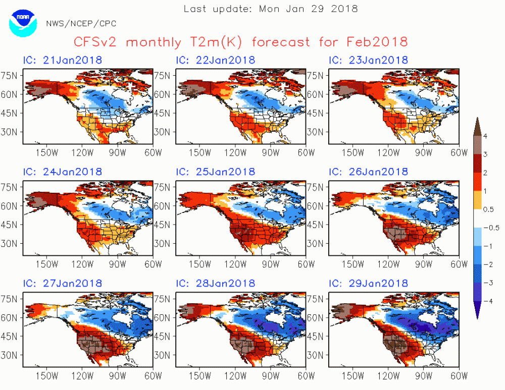 CFS1.gif