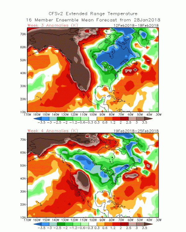 CFS2.gif