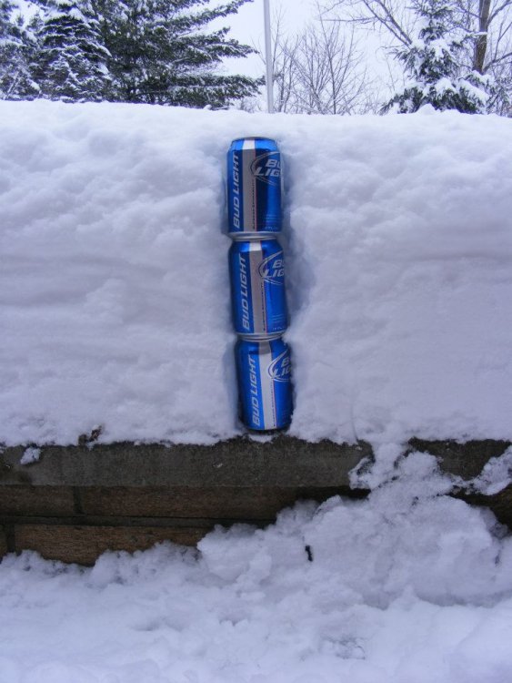 hillbilly-snow-measurement.thumb.jpg.21ddc1a01d3507df3f9a0c798bc02b89.jpg