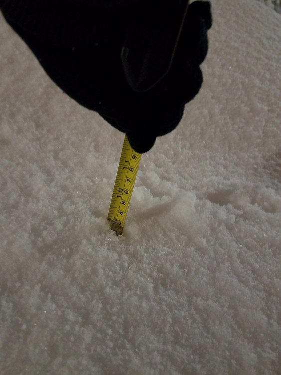 measurement1.jpg