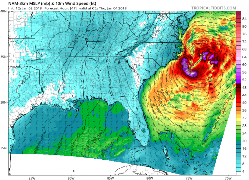 nam3km_mslp_wind_seus_41.png