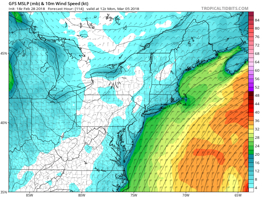 gfs_mslp_wind_neus_20.png