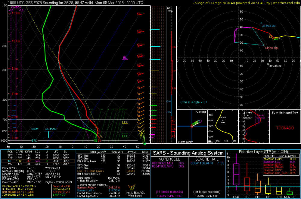 March 4 GFS sounding.png