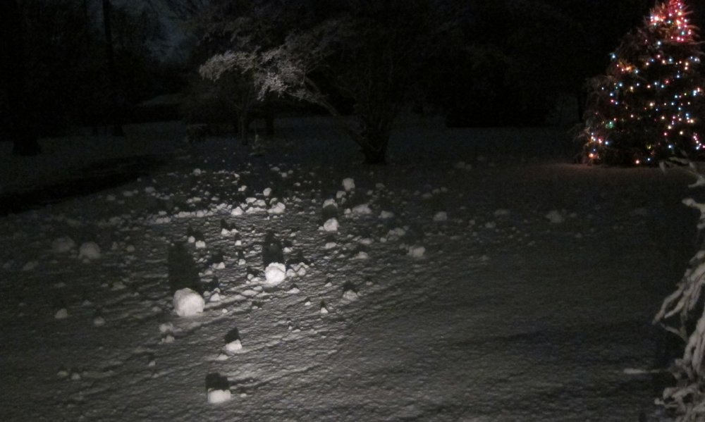 Self-propelled-snowballs_3-02-18a.jpg