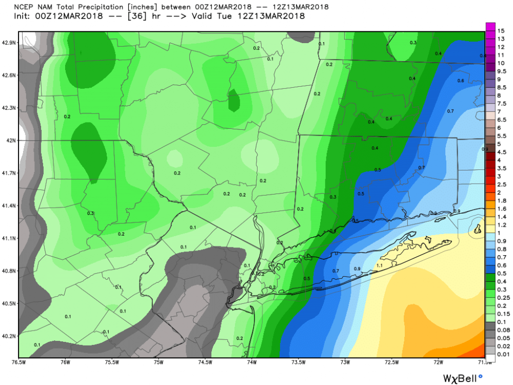 nam_total_precip_nyc_13.thumb.png.16e06e9b8587b49c0341a8bb3af9cde7.png
