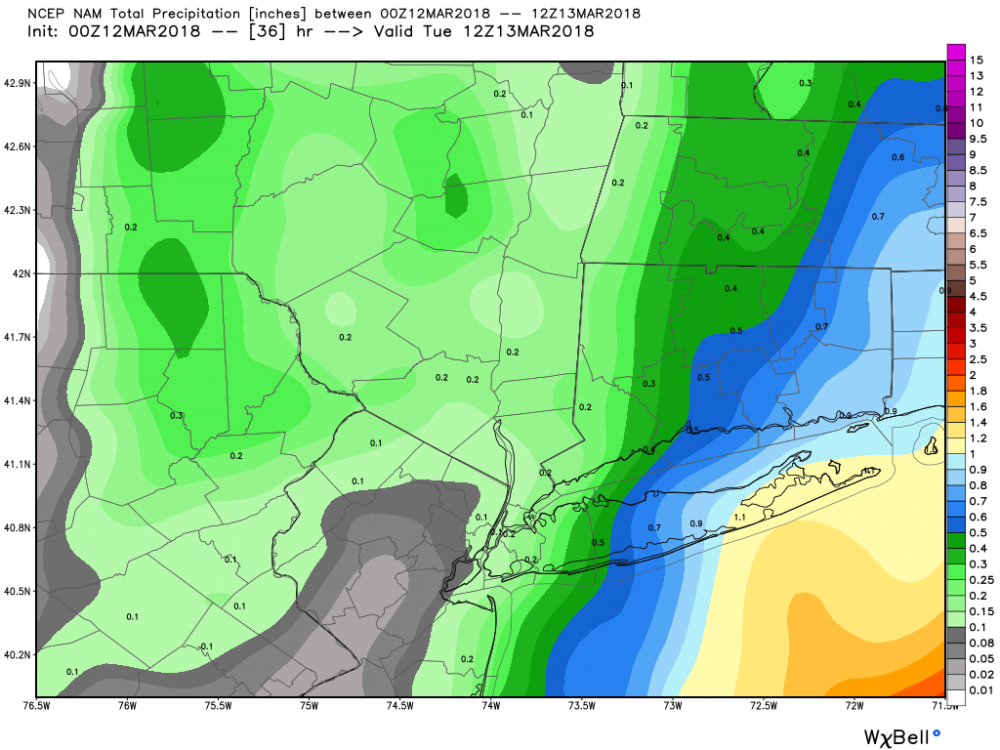 nam_total_precip_nyc_13.png