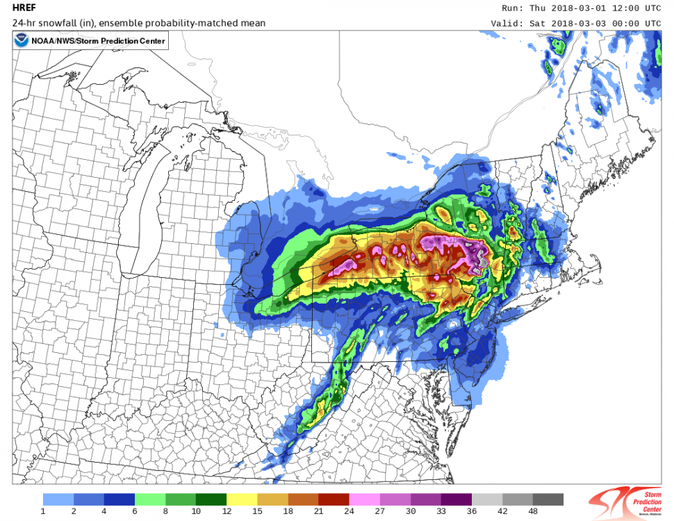 snowfall_024h_pmm.ne.f03600.png