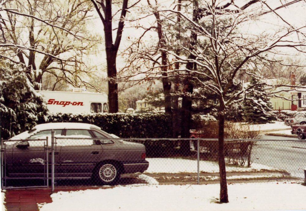 199004-Snow4e1s1200.jpg