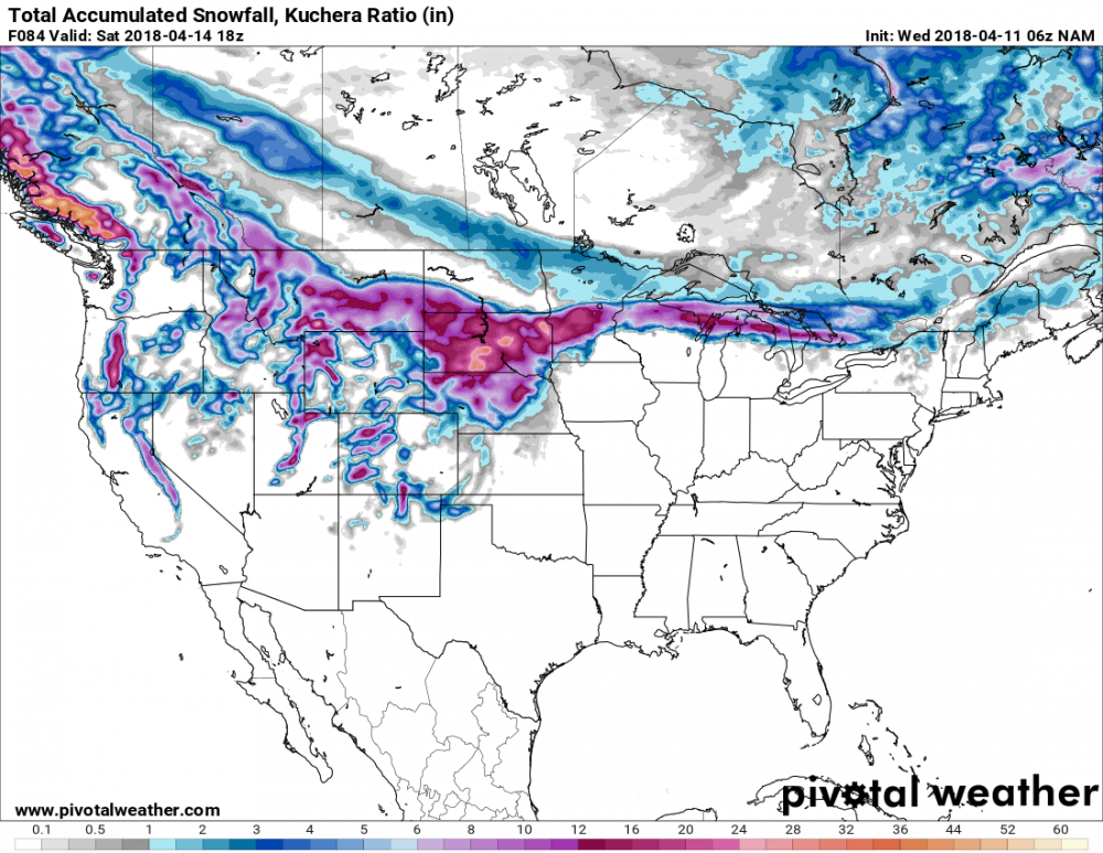 5acdceca84a29_snku_acc.conus(4).thumb.png.f545447285b83129b90680b347459fde.png