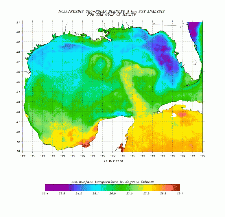 sst-gulfmex.cf-05132018.gif