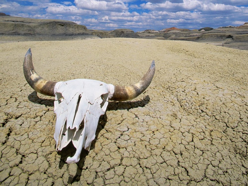 summer_heat__death_valley_national_park__california.thumb.jpg.34297dc177cef717cea4803d4bca5bdb.jpg