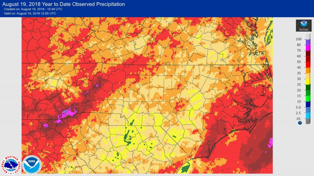 August 19, 2018 Year to Date Observed Precipitation (1).jpg