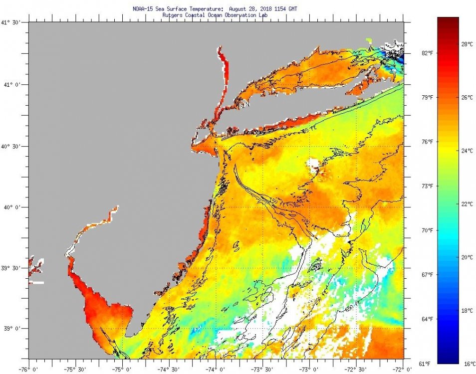 ssts-08282018.jpg