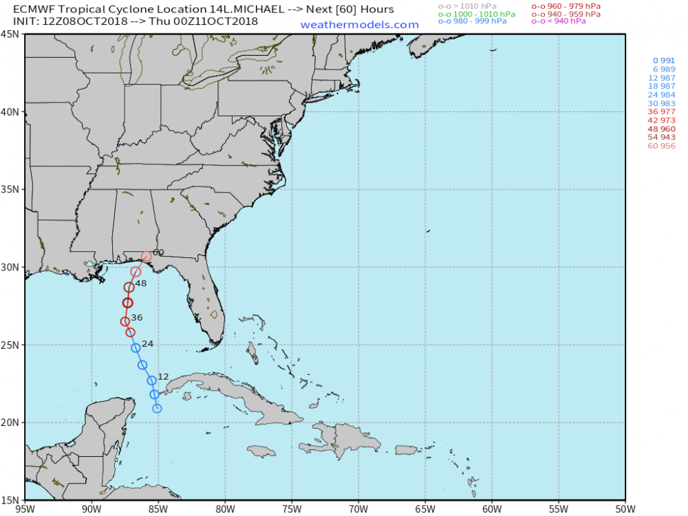 12Zecmwf_michael.png