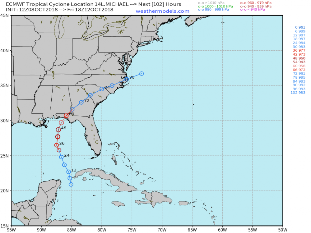 12zaecmwf_michael.png