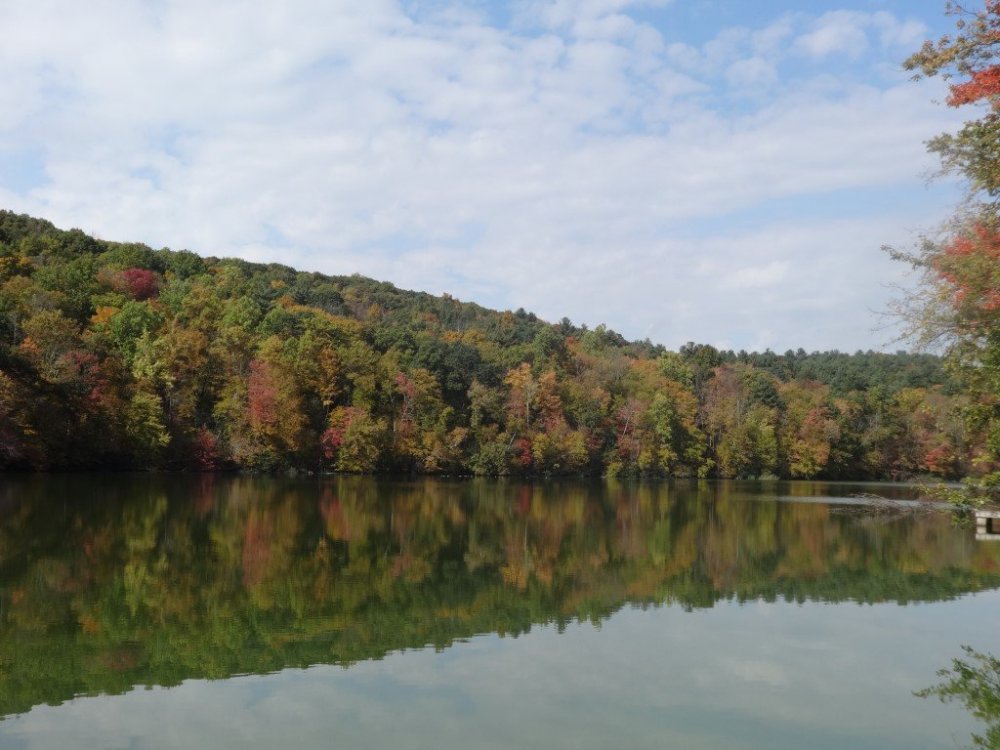 Whites Pond 2018 (Medium).JPG