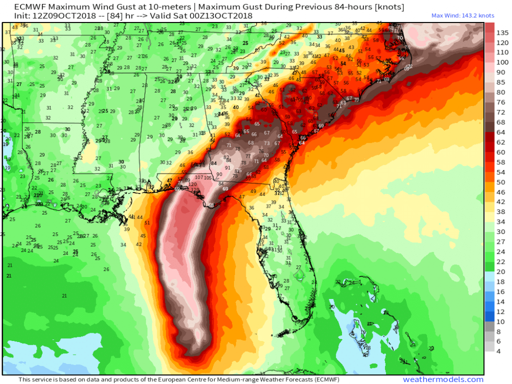 ecmwf_max_gust_se_84.png