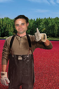 Raycranberrybog.png.79366a4759b4af0ce3aaf80c232d6b59.png