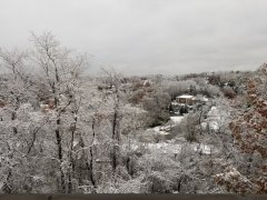 20181116_080138.jpg