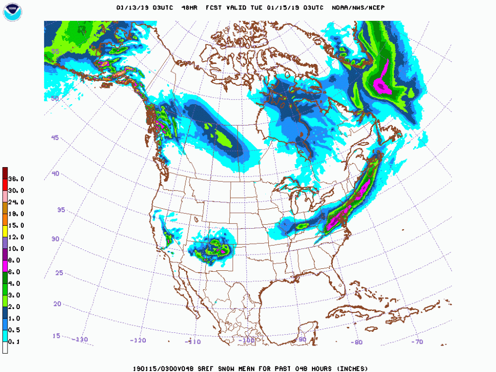 48 hour SREF mean snowfall amounts January 13th 3z run.gif