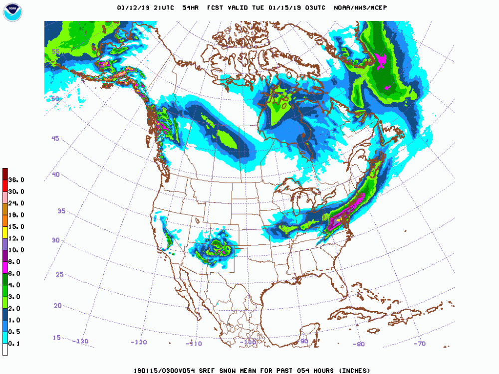 SREF mean for snowfall Winter Storm Gia January 12th 21z mean.gif