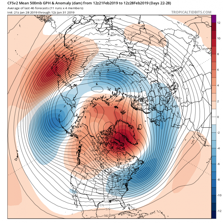 cfs-avg_z500aMean_nhem_4.png