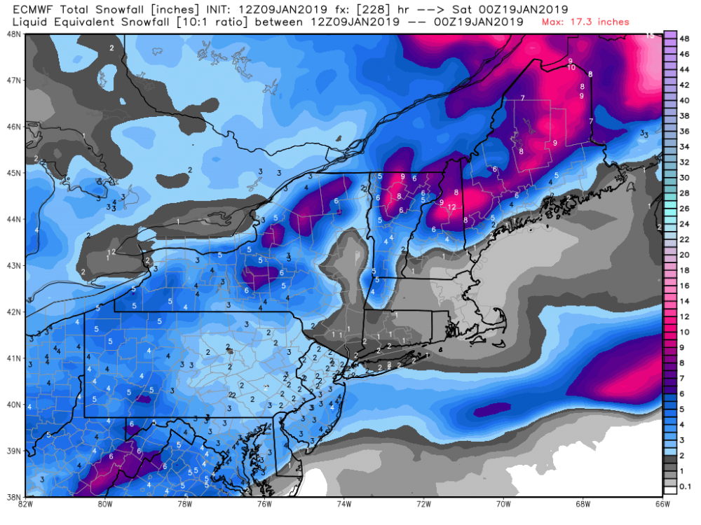 ecmwf_tsnow_neng_39.png