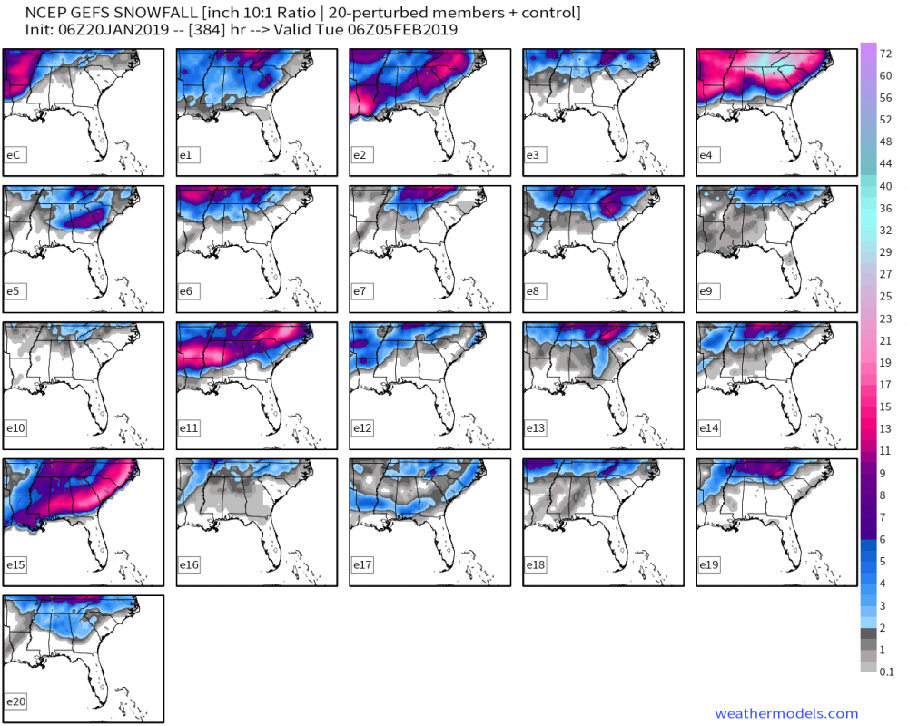 gefs_snow_21_se_384.png