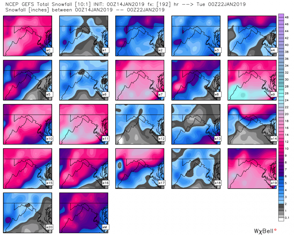 gefs_snow_ens_washdc_33.thumb.png.f9c0134e130a00aa2560eae24f2de8da.png