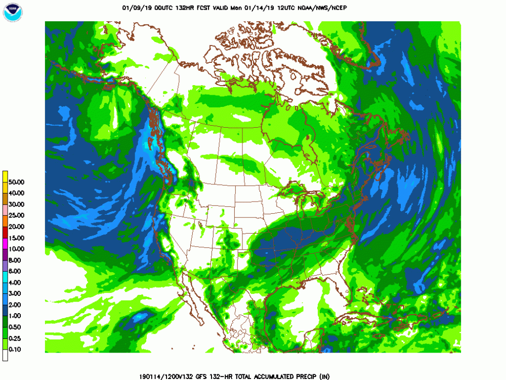 gfs_namer_132_precip_ptot.gif