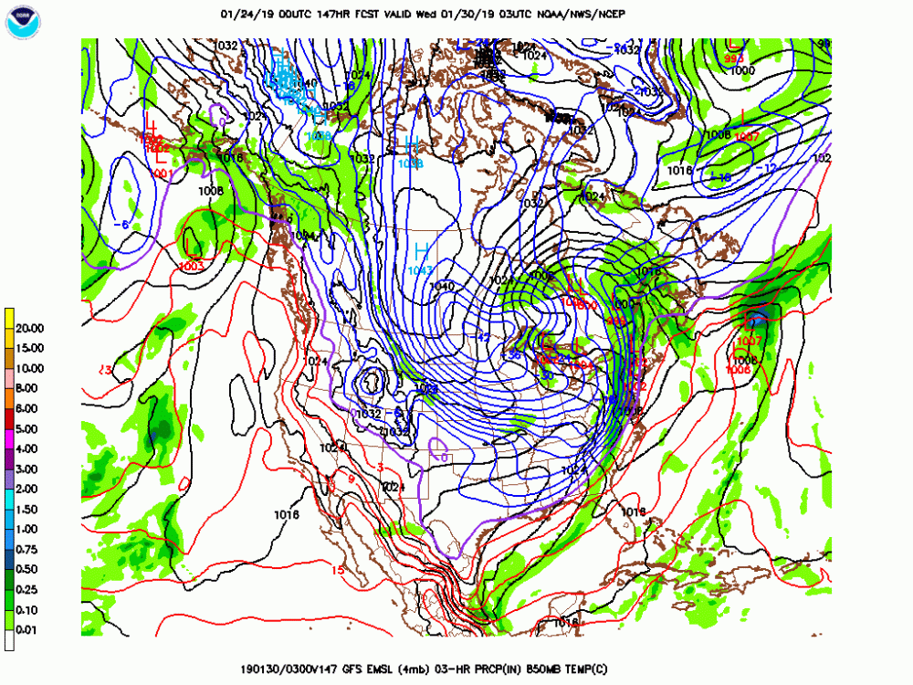 gfs_namer_147_850_temp_mslp_precip.gif