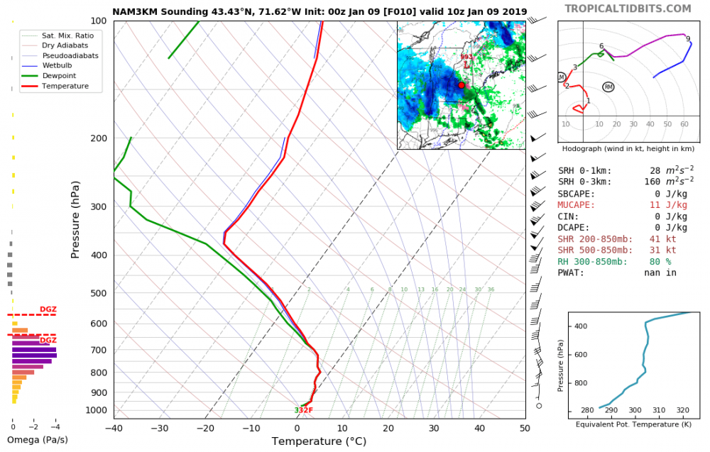 nam3km_2019010900_fh10_sounding_43.43N_71.62W.png